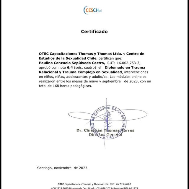 Acercar imagen: certificate 2