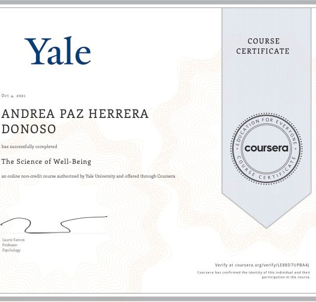 Acercar imagen: certificate 7