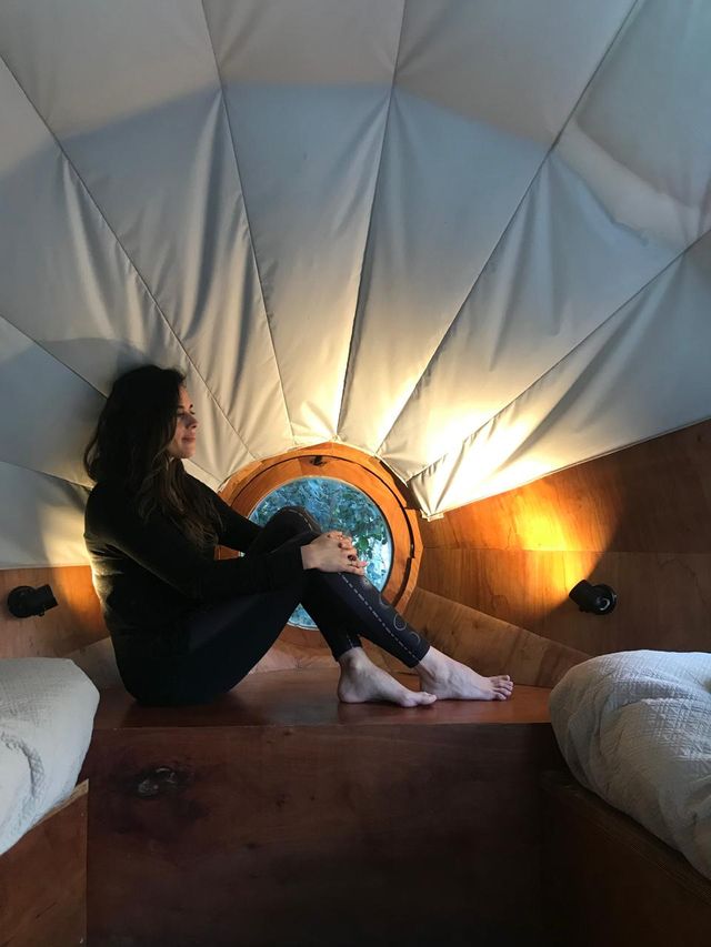 Acercar imagen: Consulta online