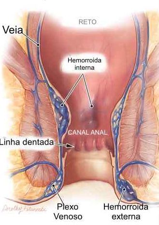 Ampliar imagem: CECO - Centro Especializado de Coloproctologia