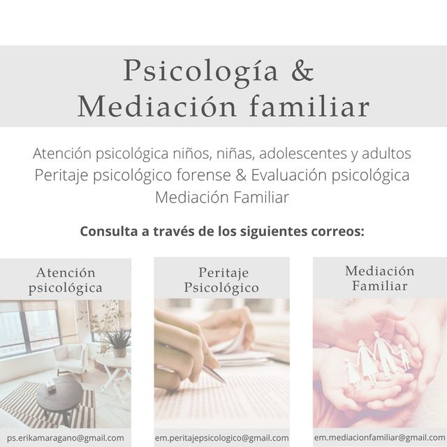 Acercar imagen: Consulta presencial Providencia