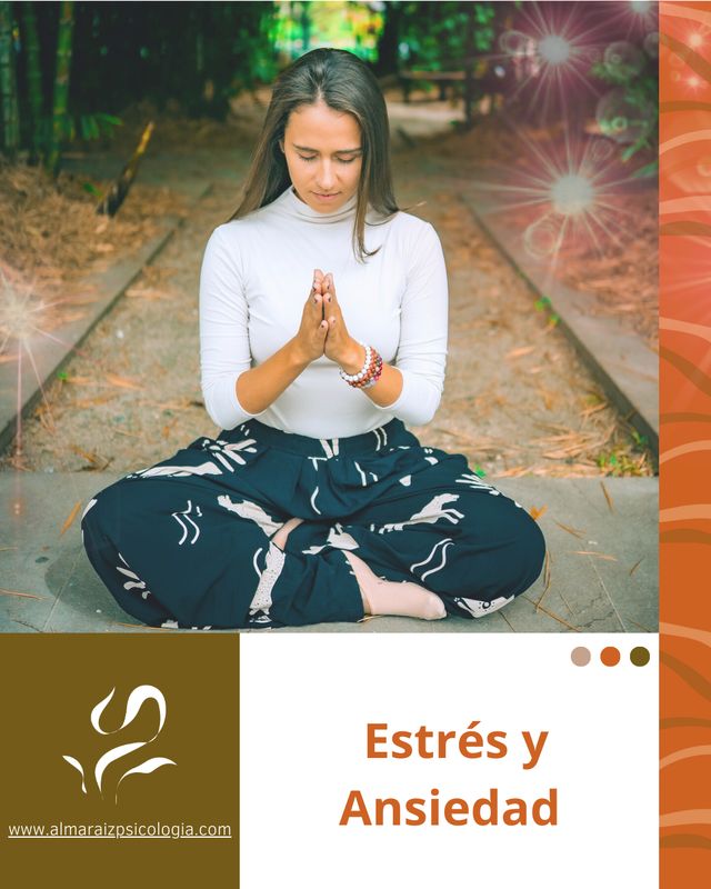 Acercar imagen: Almaraiz en linea