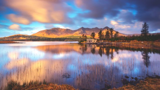 Ampliar imagem: Port Vitta & Kids