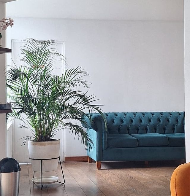 Acercar imagen: Consultorio cerca al Jockey Plaza