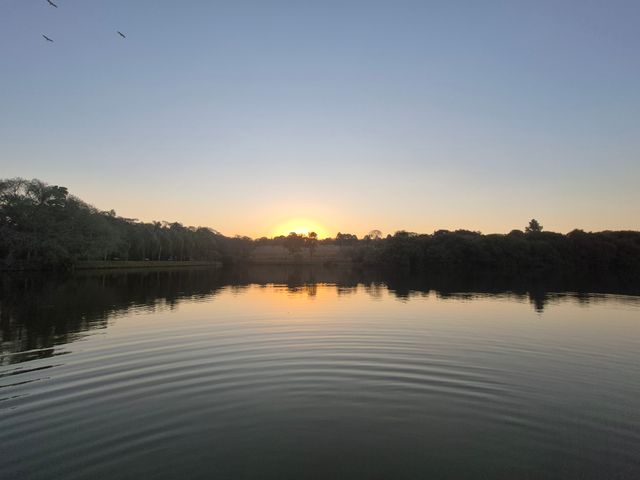 Ampliar imagem: Carina V. C. Matheus Giacometti ONLINE