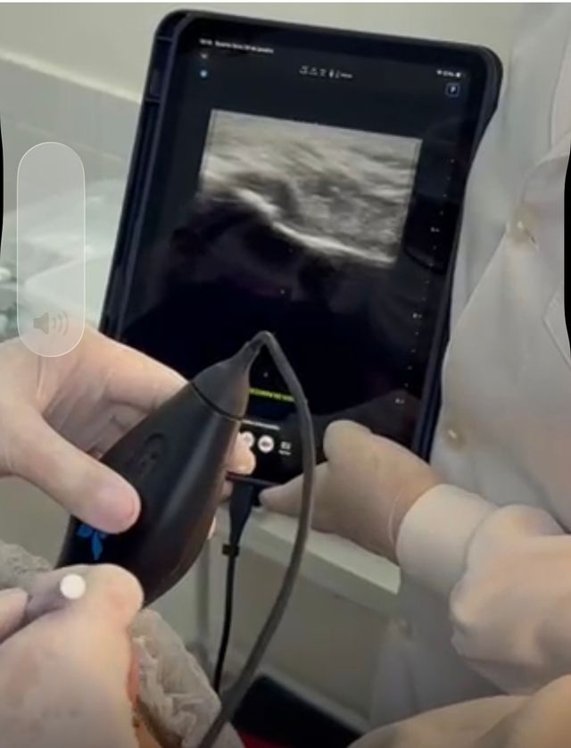 Ampliar imagem: Profa. Dra. Juliana Stuginski Barbosa