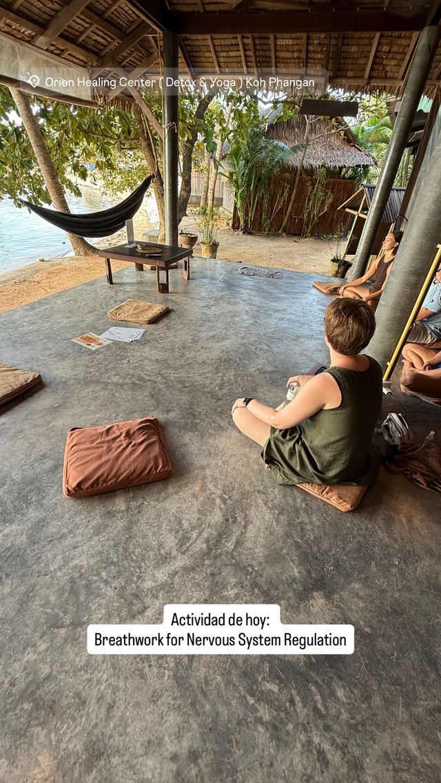 Acercar imagen: Consulta Online