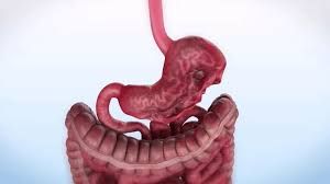 Ampliar imagem: Clínica Healthme Emagrecimento