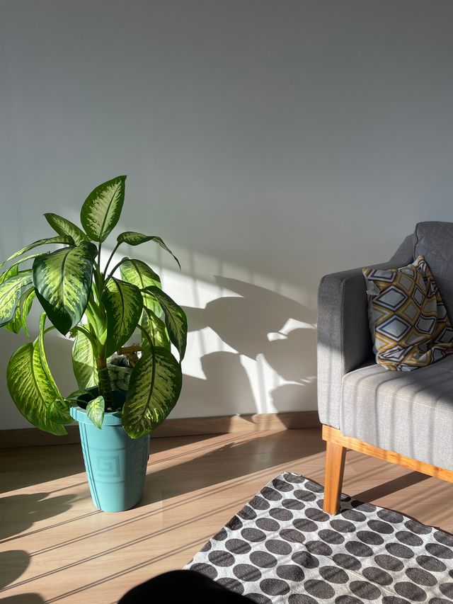 Ampliar imagem: Humanis Saúde Integrada