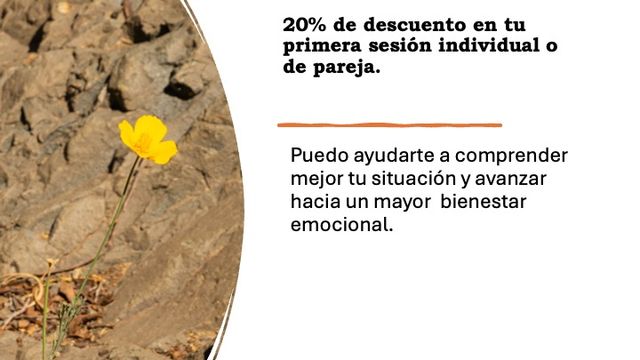 Acercar imagen: Consulta online
