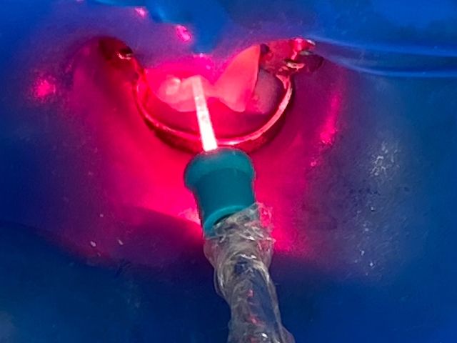 Ampliar imagem: Dra Michele Nadalin