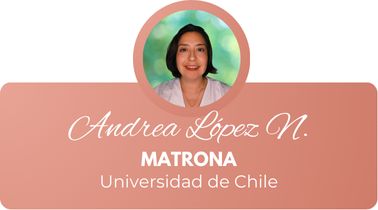 Acercar imagen: Consulta Online - Chile