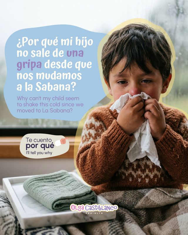 Acercar imagen: Consultas en línea