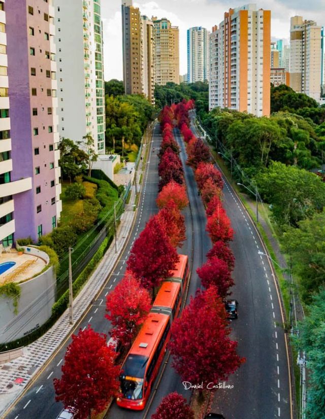 Ampliar imagem: Clínica Renasce