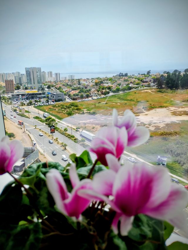 Acercar imagen: Circulo de Confianza