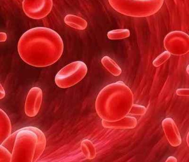 Acercar imagen: Consulta Online