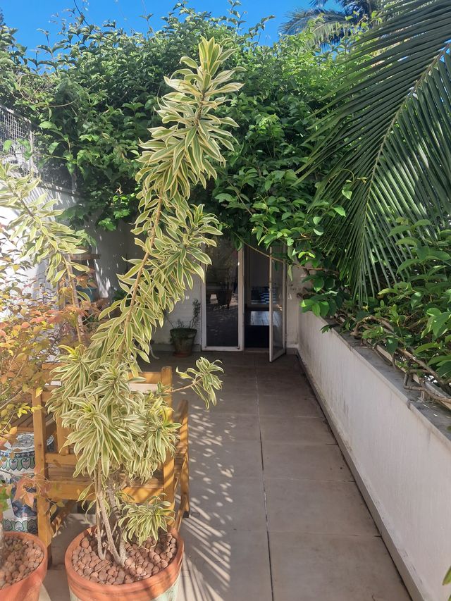 Ampliar imagem: Consultório Divya Bhava So Ham