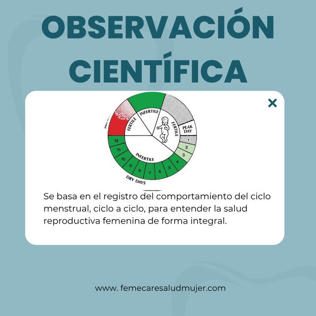 Acercar imagen: Torre Vítale, piso 8