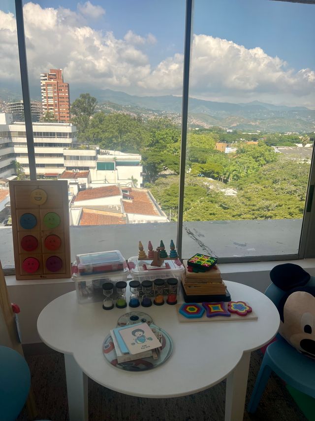 Acercar imagen: Consulta en línea