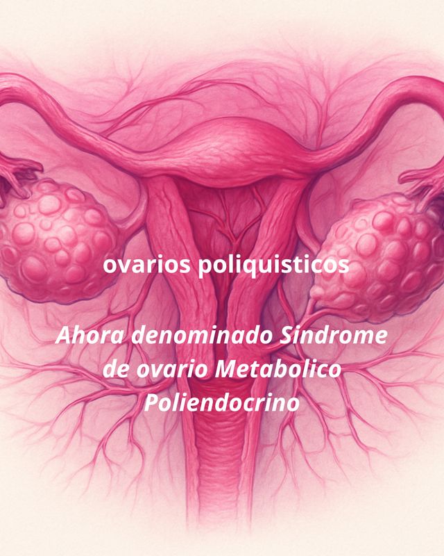 Acercar imagen: Consulta online