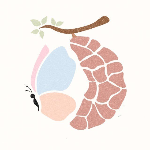 Ampliar imagem: Clínica Casulo Saúde - Sorocaba/SP