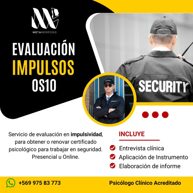 Consulta Online Punta Arenas