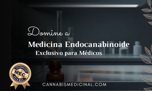 Ampliar imagem: Telemedicina MedSanta Clara