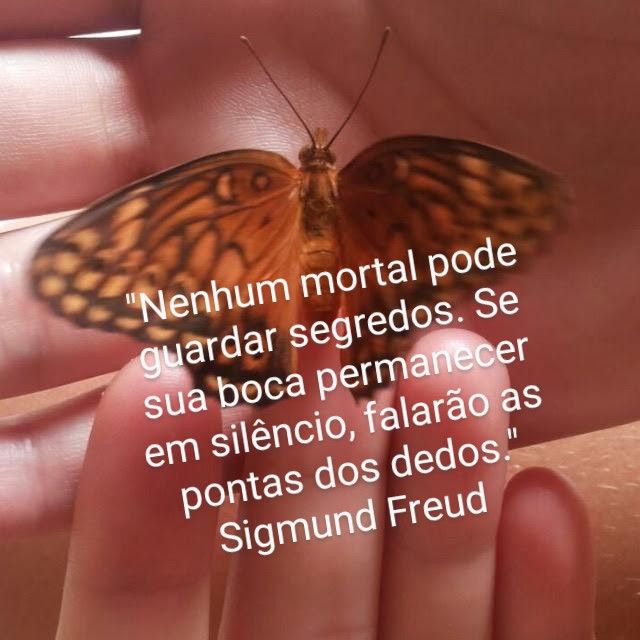 Ampliar imagem: Clínica Semear