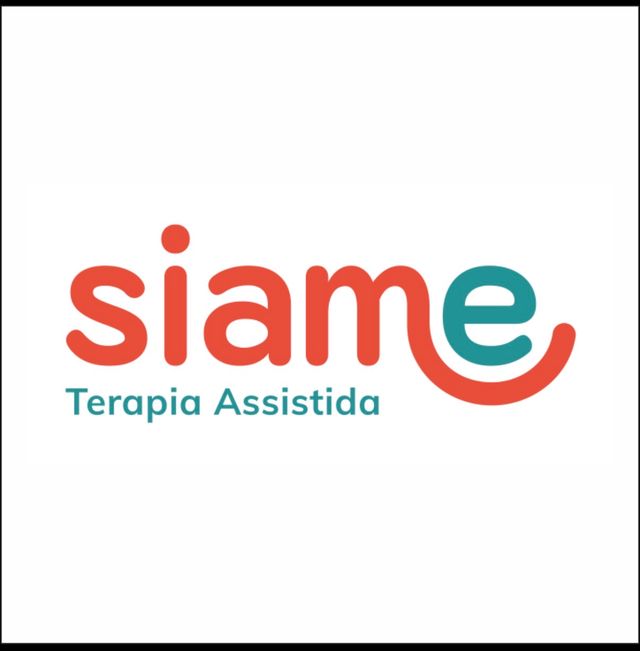 Ampliar imagem: Siame