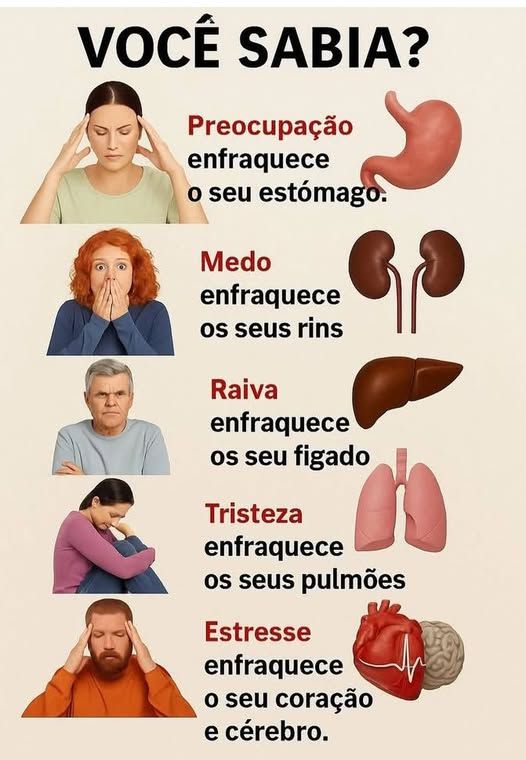 Ampliar imagem: CLÍNICA HUMANIZAR  
