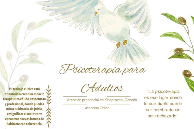 Acercar imagen: Kinet Concón