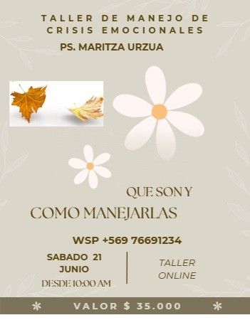 Acercar imagen: Consulta telemedicina - las condes