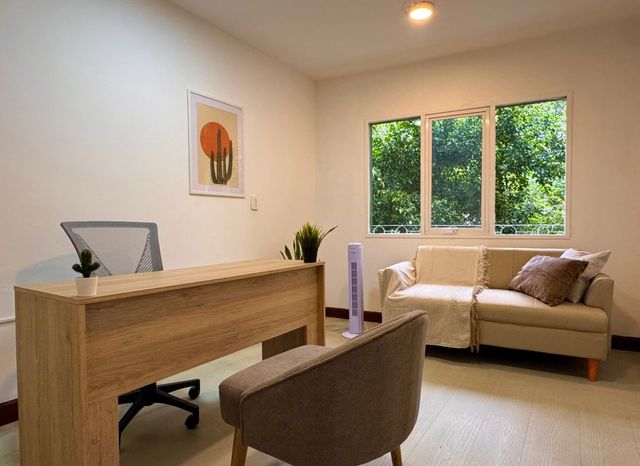 Acercar imagen: Kactus