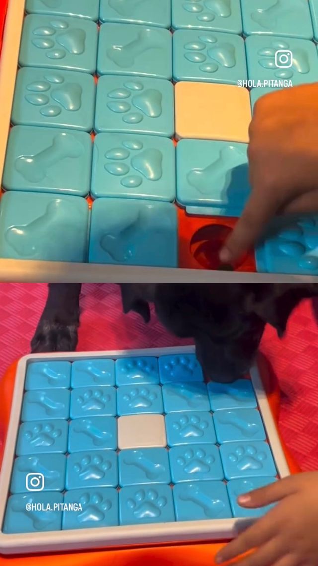 Acercar imagen: Centro Pitanga