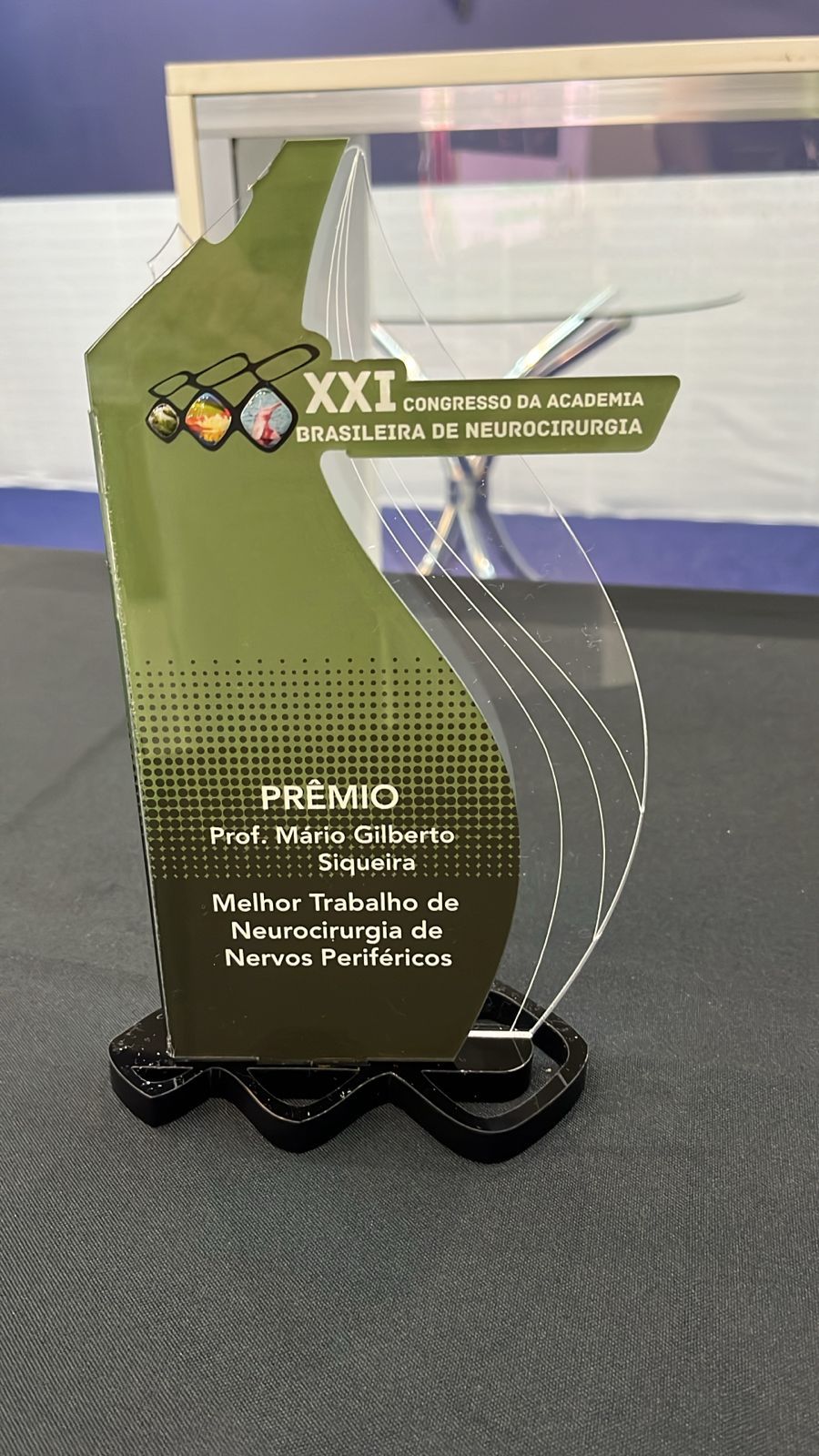 Kélia Rejane Santiago Dias-0