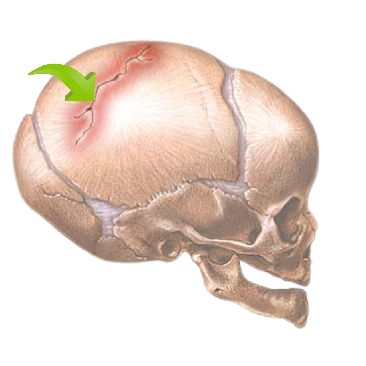 David Tafur Muñoz-1066