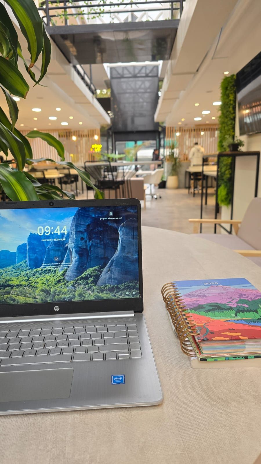 Maria Elisa Castiñeira Oubiña-3