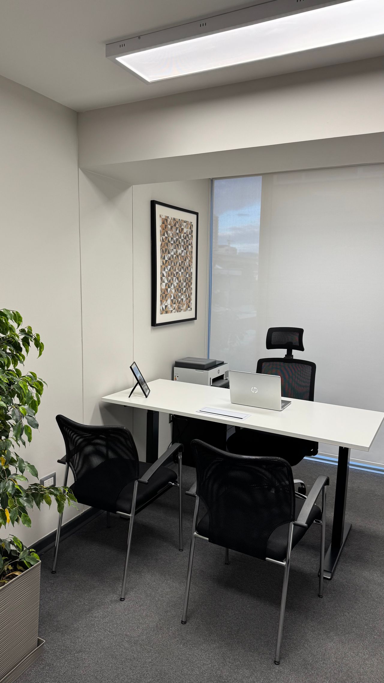 Maria Fernanda Cruces Navarrete-0