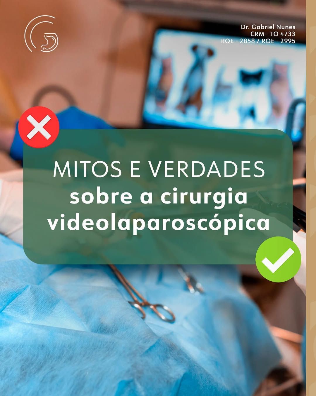 Gabriel Martins Nunes-0