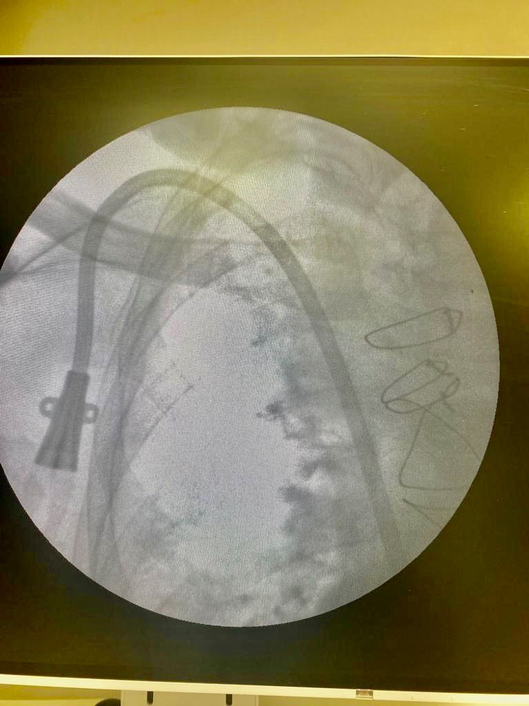 Bruna Campos  Oliveira-4