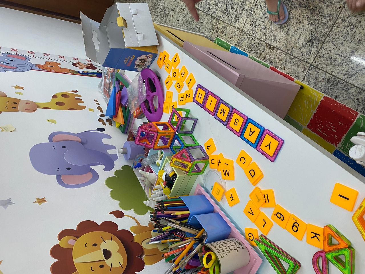 Gecineide Oliveira Jovanovicth-0