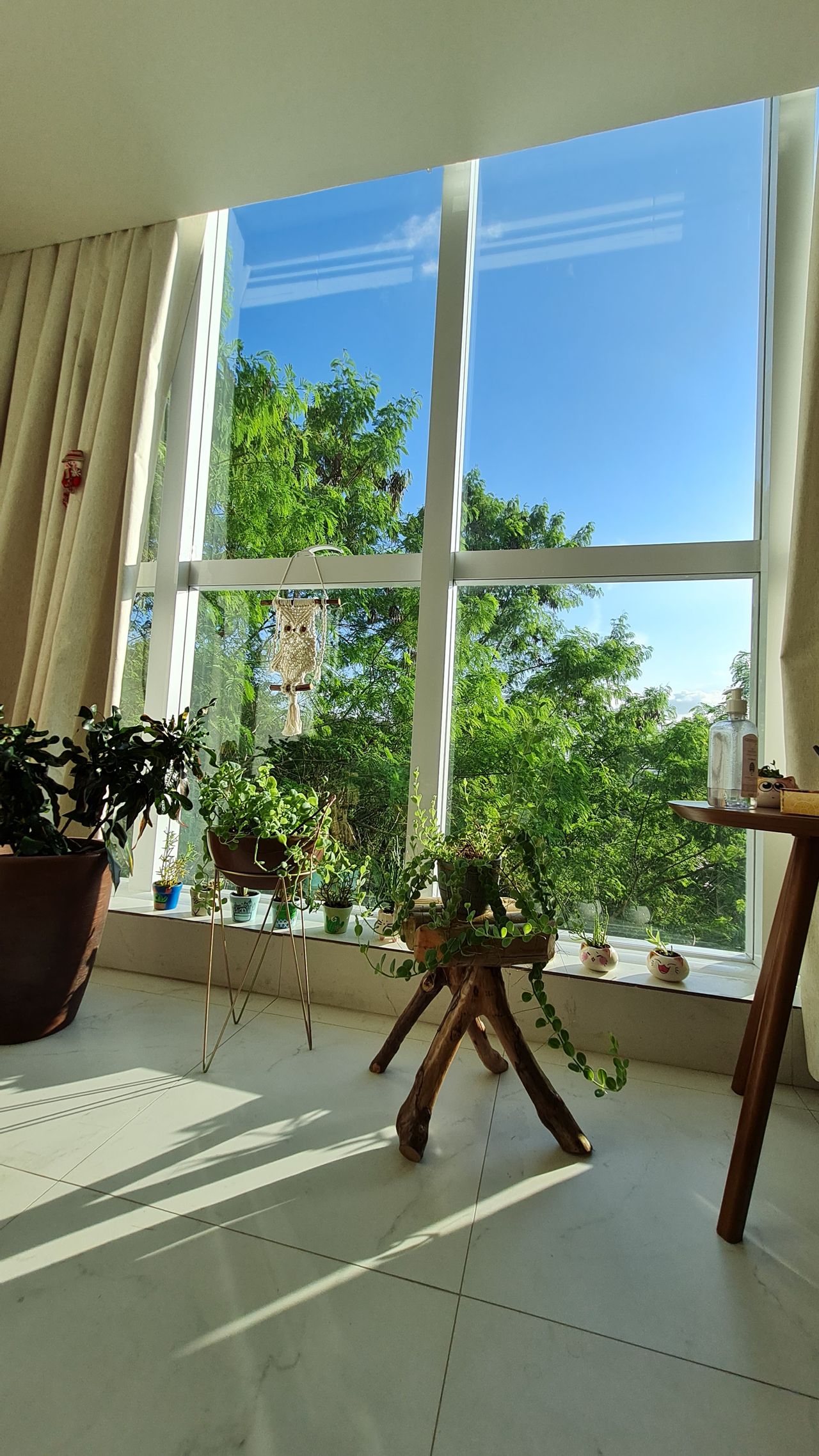 Elyni Porto Borges Vincenzi-5