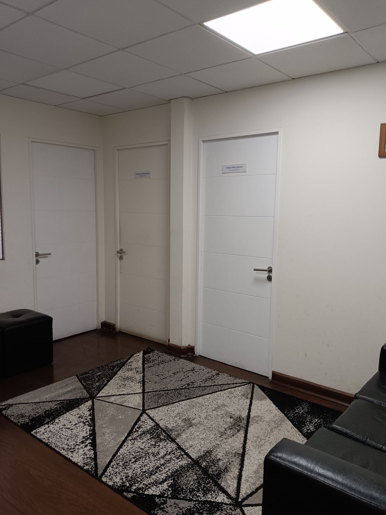 Viviana Moya Navarro-9