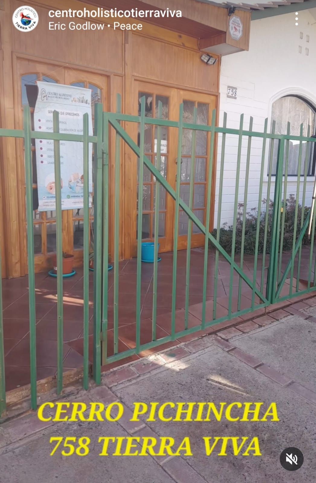 Camila Valenzuela Flores-2