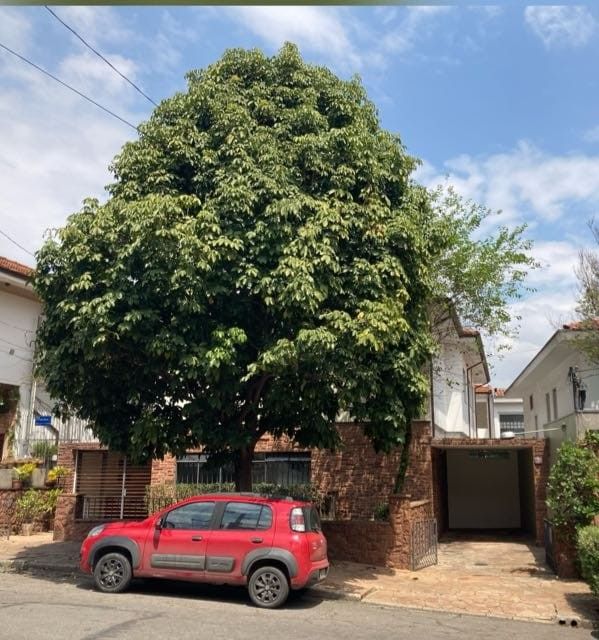 Victor Ferrarezi Arruda-2