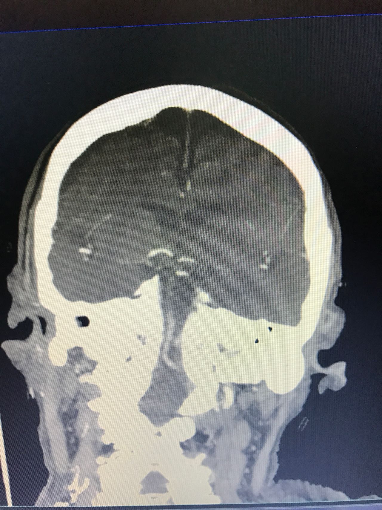 Andrea Lobos Sierra-2