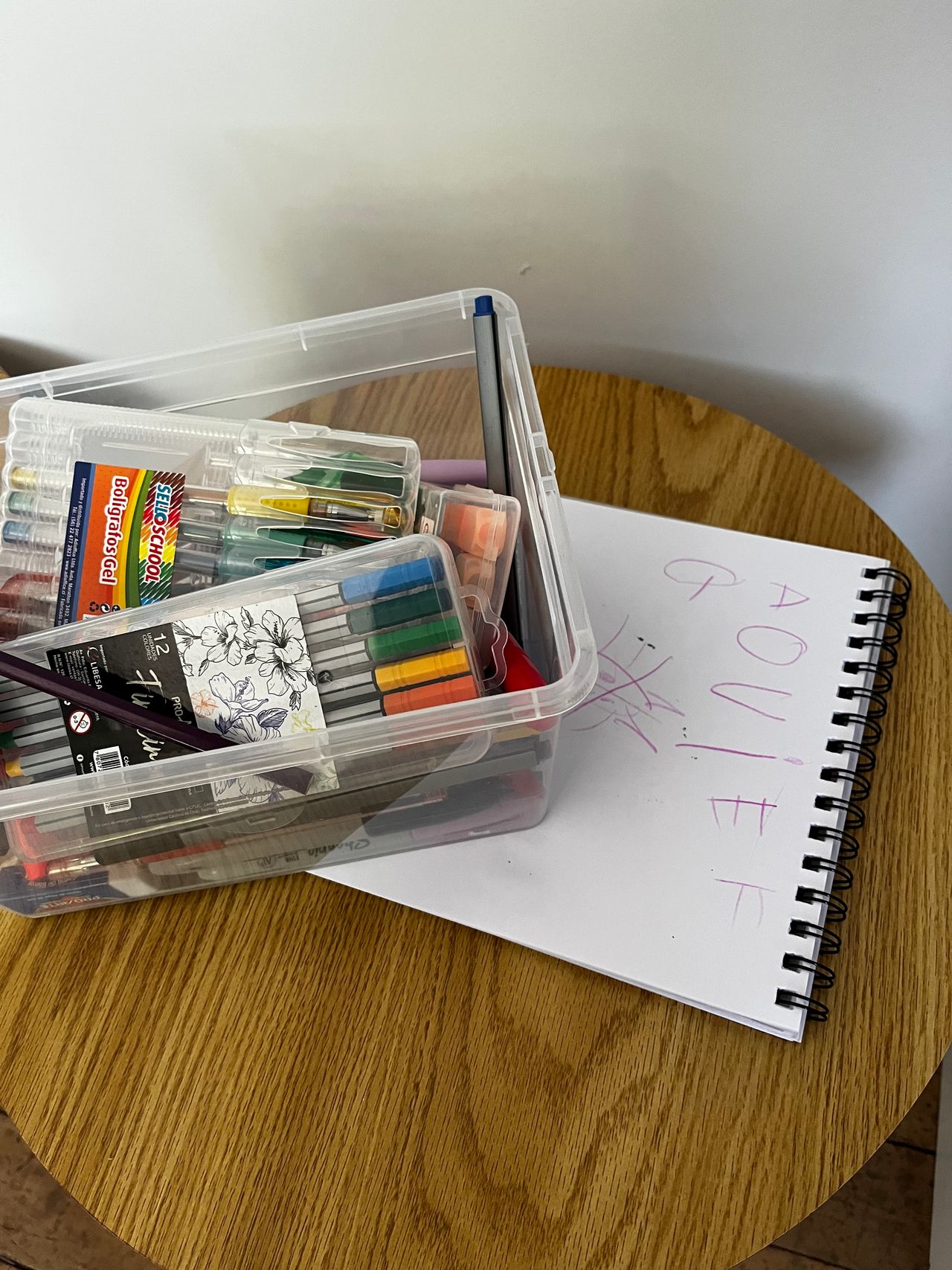 Camila Fuentes Castro-6