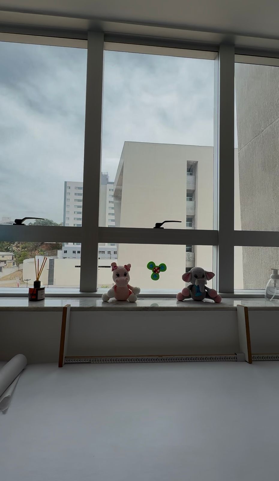 Camila Vidotti Castro Corrêa-5