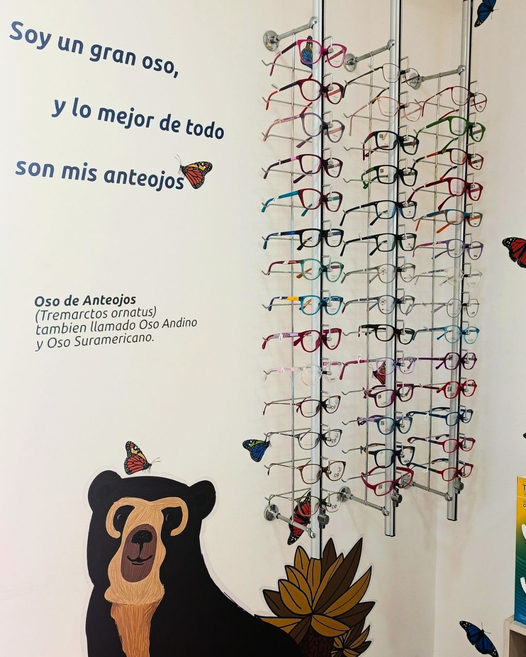 Sandra Ardila Diaz-8