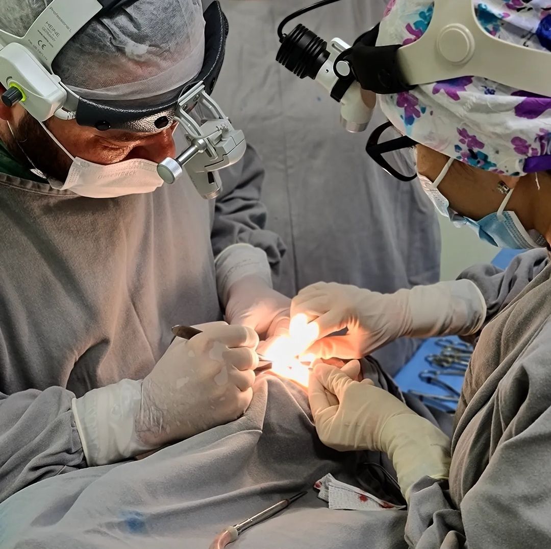 Fabio Caracho Batista-5